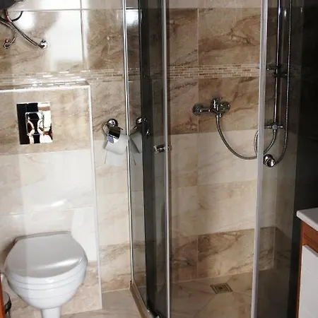 Guest house Maxim *